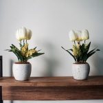 Bunga Indah untuk Kamar yang Membuat Suasana Lebih Segar dan Menenangkan