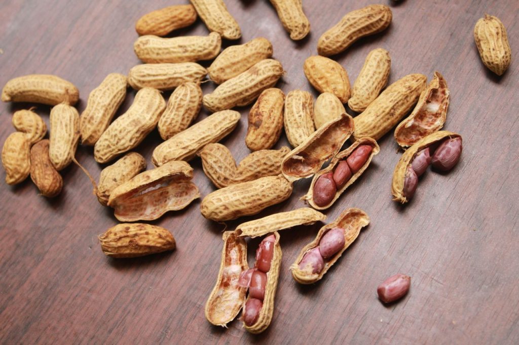 Kacang tanah