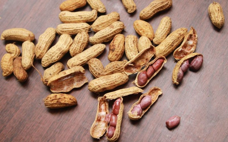 Kacang tanah